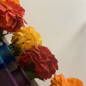 Meet your Posher, Dolores